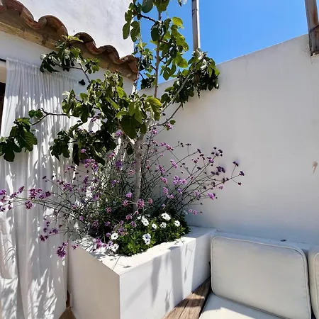 Huge Whole House Old Town Holiday home Sitges
